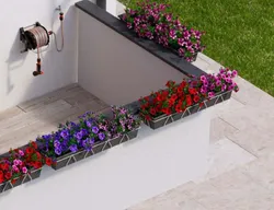 ¿Cuánta agua necesita tu jardín? Aprende a regar bien