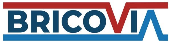 Logo Bricovia