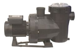 Astralpool Victoria Plus Silent 1,5 CV 230 V