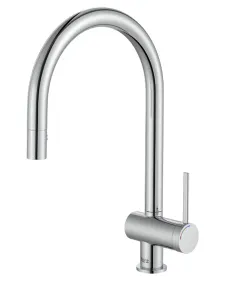Grifo monomando repisa Roca Ona caño curvo giratorio y ducha extraíble